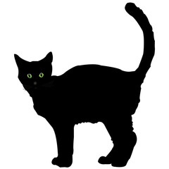 illustration of a black cat on a white background. The cat is standingt 