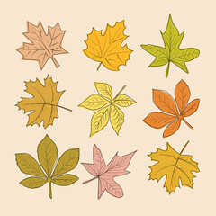 Vector autumn leaves, single line drawing, autumn color.