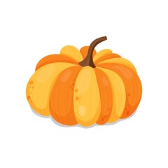 Vector illustration of thanksgiving or halloween orange pumpkin