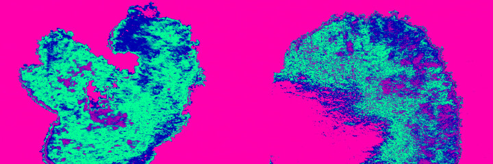 Obraz premium Green Acrylic Wallpaper. Violet Wash Element.