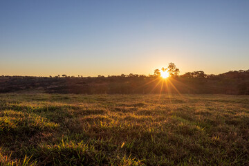 Nascer do sol na zona rural de Minas Gerais, Brasil.