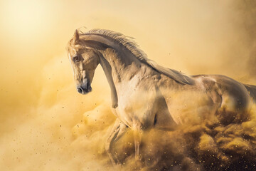 artistic horse in action