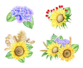 Watercolor Sunflowers and Hydrangea compositions with fresh leaves.
 Botanical hand painted floral illustration with flowers and leaves isolated on white background.	