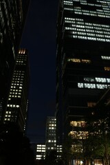 東京駅付近のビル群の夜景風景