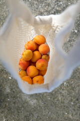 Reusable mesh bag filled with apricots. Top view, selective focus.