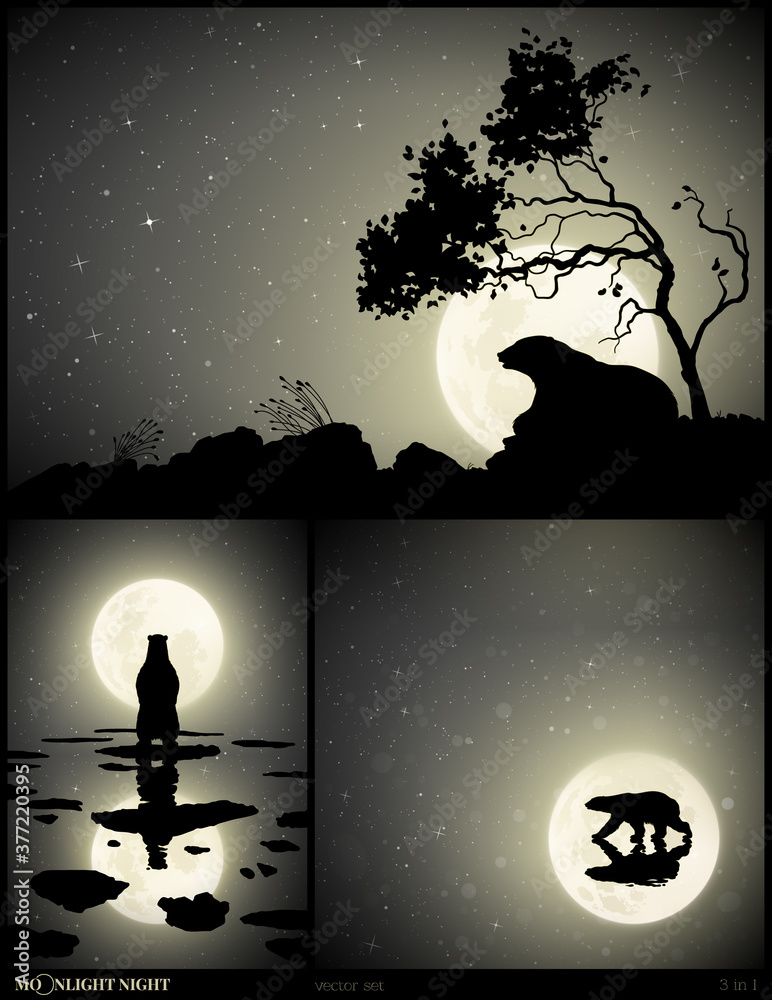 Poster bear silhouette. wild animal and moon in starry night. black white set