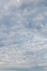 Group of cloud in the sky