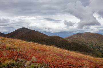 Colorful meadow fields on top of Nares Mountain during fall season. Located in Carcross, near Whitehorse, Yukon, Canada.
