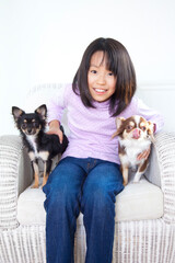 椅子に座るチワワと女の子