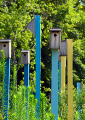 Bird House Garden Memphis