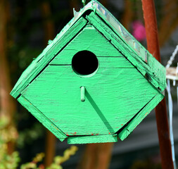 Birdhouse Closeup