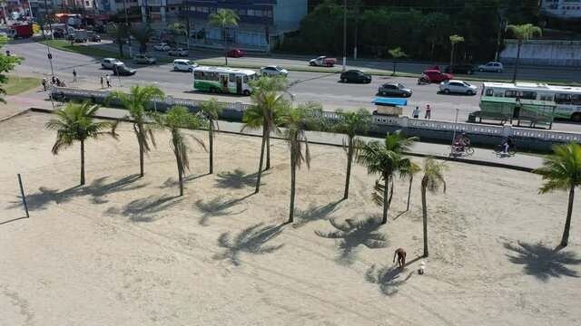 Aerial view of palm trees in the beachfront ,Santos, Sao Paulo, Brazil. Santos beach scene. Beachfront view. Palm trees landscape. Beach scene of pam trees in Santos. Beachfront scene in a summer day.