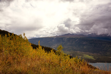 Colorful meadow fields on top of Nares Mountain during fall season. Located in Carcross, near Whitehorse, Yukon, Canada.