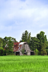 Field of Green and Rustic Barn