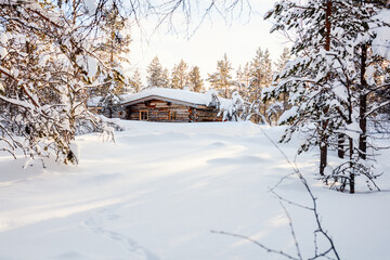 Winter landscape