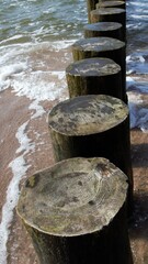 A close-up of the breakwater in the form of wooden piles, the so-called spurs used by the Baltic...