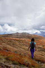 Fototapeta premium Adventurous Girl Hiking up the Nares Mountain during a cloudy and sunny evening. Taken at Carcross, near Whitehorse, Yukon, Canada.