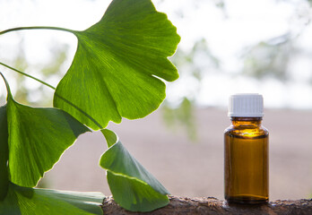 Ginkgo biloba - essential extract in a bottle and fresh leaves.