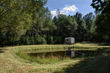 camping in the forest