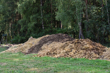 dunghill at the edge of a forest