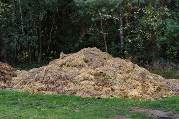 dunghill at the edge of a forest