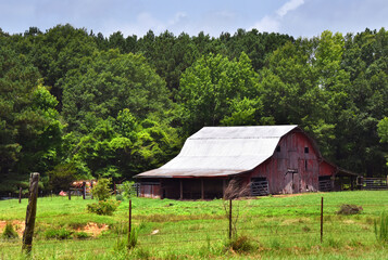 Fototapeta na wymiar Summer Day on Arkansas Farm