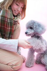 お手をするトイプードル