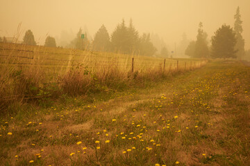 View of country roadside in Oregon with smokes from wildfires in the distance.