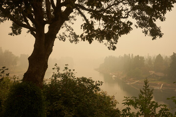 The Willamette River seen from Lake Oswego at noon during the Oregon wildfires in 2020.