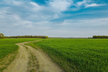 Rural road on green field. Bright sky with clouds
