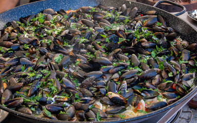 fresh shells in wine  ,