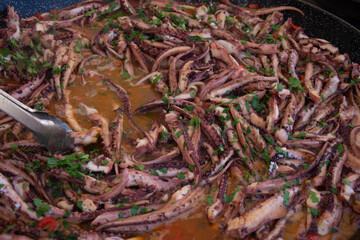 tentacles  calamari octopus in Bistrita,Romania 2020