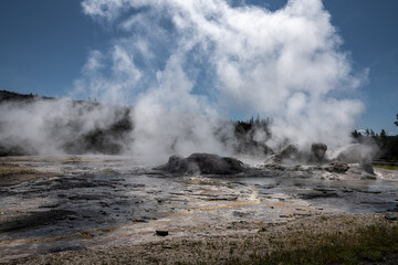 Grotto Geyser, Upper Geyser Basin, Yellowstone National Park