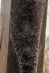 A frozen spider's web hanging on to a wooden post.
