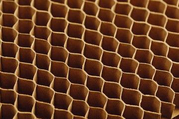 honeycomb cells of cardboard stiffering rib background