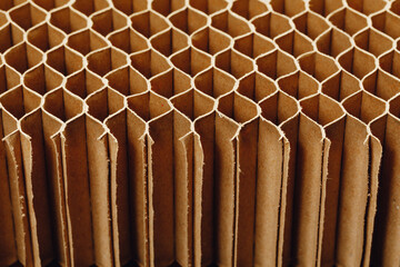 honeycomb cells of cardboard stiffering rib background