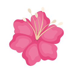 Fototapeta premium Isolated pink hawaiian flower vector design