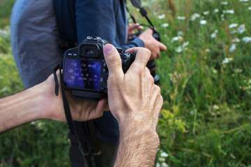 the photographer takes pictures in the wild