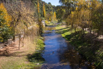 Río natural azul y árboles