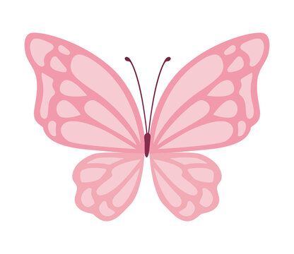 Pink Butterfly Images – Browse 387,976 Stock Photos, Vectors, and