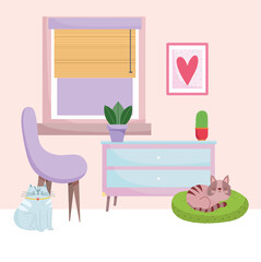 home office workplace purple chair drawers cats potted plants and window
