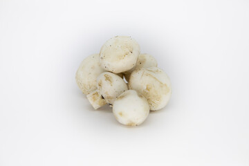 mushrooms on a white background