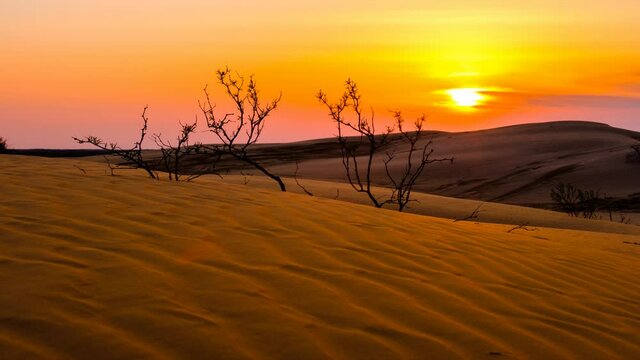 Sunset in the desert