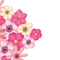 Isolated pink and white flowers vector design