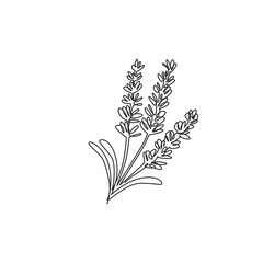 Single continuous line drawing of beauty fresh lavandula for garden logo. Printable decorative lavender flower for home wall decor art poster print. Modern one line draw design vector illustration © Simple Line