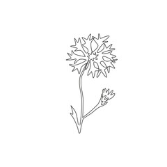 One continuous line drawing of beauty fresh centaurea cyanus for home decor wall art poster print. Decorative cornflower concept for invitation card. Trendy single line draw design vector illustration