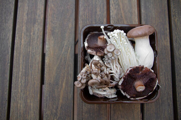 Different varieties of mushroom and fungus