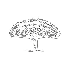 One continuous line drawing beauty dragon blood tree for wall decor home art poster print. Decorative socotra dragon tree for national park logo. Trendy single line draw design vector illustration