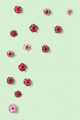 Pattern with close-up bud of dry flowers, small blossoms on green. Natural flowery background. Pastel colors, top view, flat lay.