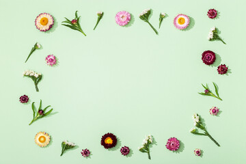 Flowers composition. Frame made of dried colorful flowers on soft green.